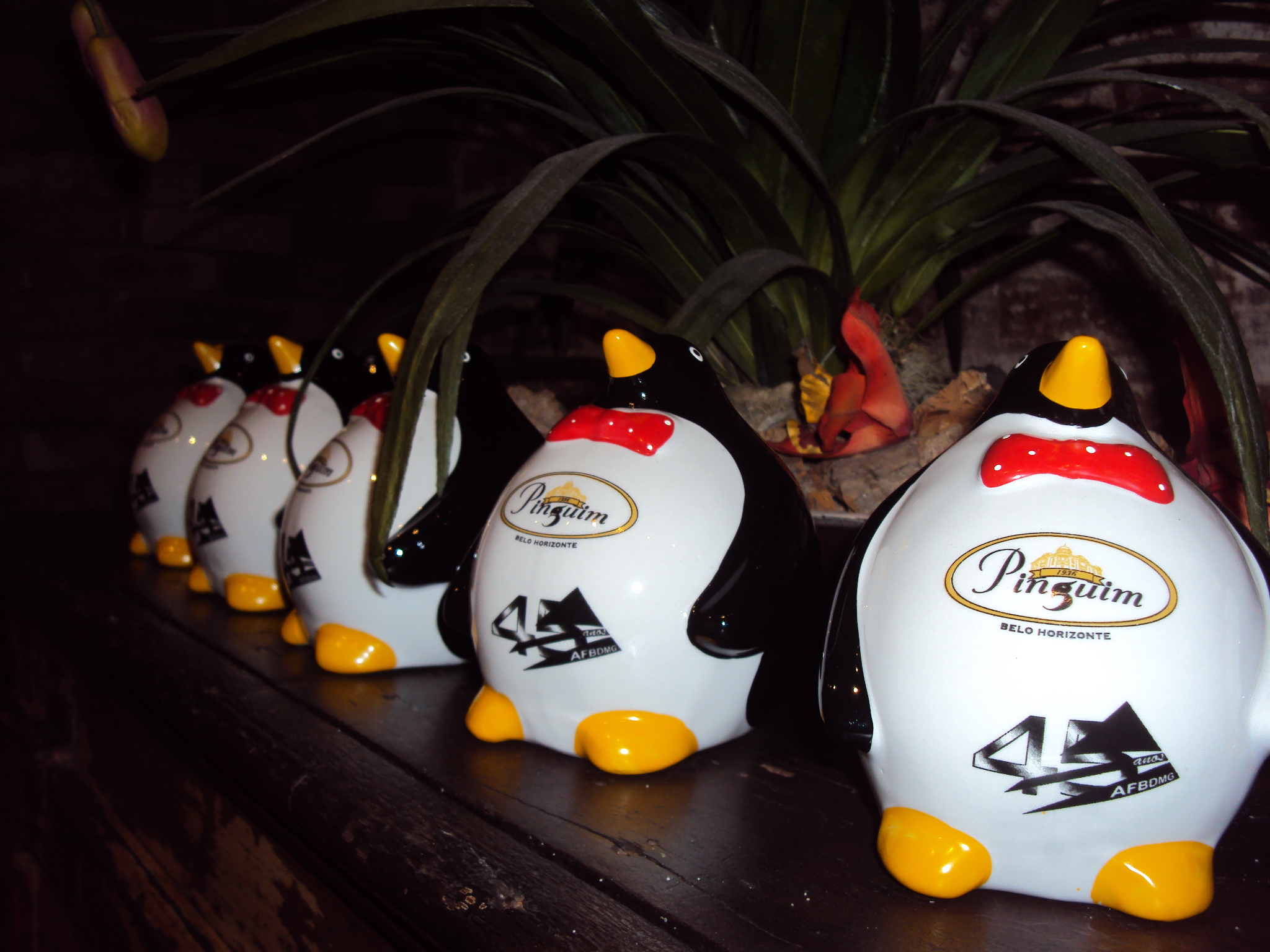 Resultado do Sorteio dos Pinguins de Louça